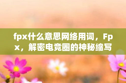 fpx什么意思网络用词,Fpx,解密电竞圈的神秘缩写 fpx什么意思网络用词,Fpx,解密电竞圈的神秘缩写