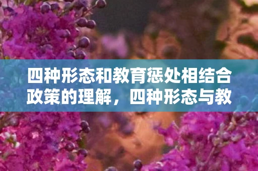 四种形态和教育惩处相结合政策的理解,四种形态与教育惩处的有机结合,构建全面育人新生态 四种形态和教育惩处相结合政策的理解,四种形态与教育惩处的有机结合,构建全面育人新生态