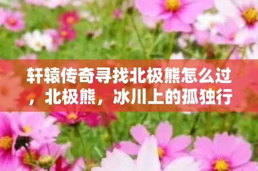 轩辕传奇寻找北极熊怎么过，北极熊，冰川上的孤独行者