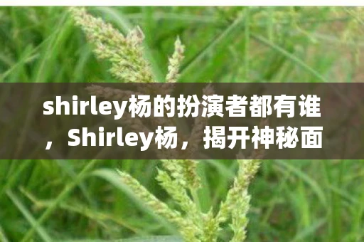 shirley杨的扮演者都有谁，Shirley杨，揭开神秘面纱的传奇女性