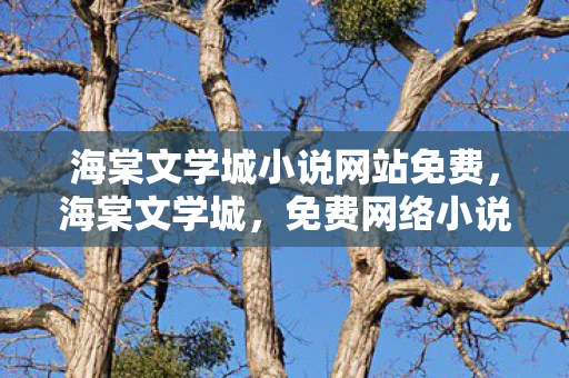 海棠文学城小说网站免费，海棠文学城，免费网络小说的阅读天堂