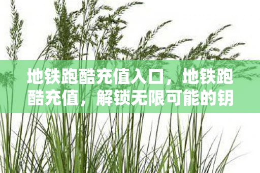 地铁跑酷充值入口，地铁跑酷充值，解锁无限可能的钥匙