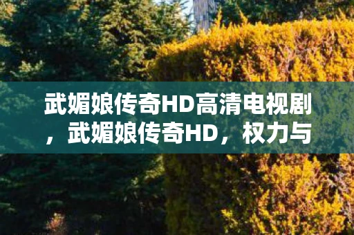 武媚娘传奇HD高清电视剧，武媚娘传奇HD，权力与智慧的双重奏章
