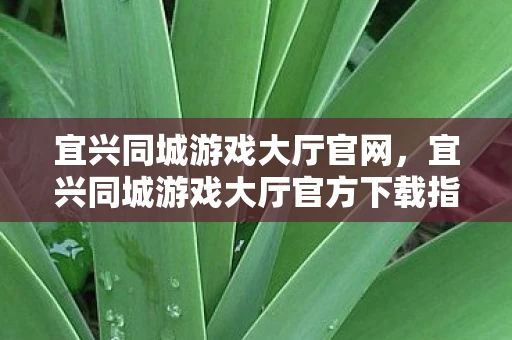 宜兴同城游戏大厅官网，宜兴同城游戏大厅官方下载指南