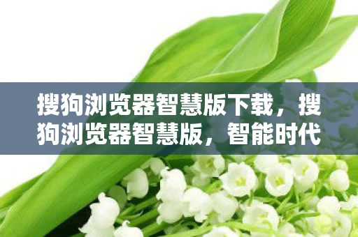 搜狗浏览器智慧版下载，搜狗浏览器智慧版，智能时代的上网新体验