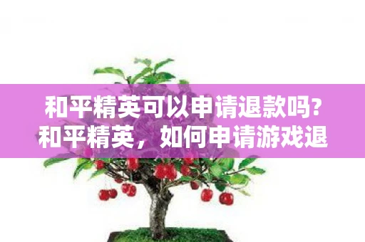 和平精英可以申请退款吗?和平精英，如何申请游戏退款？