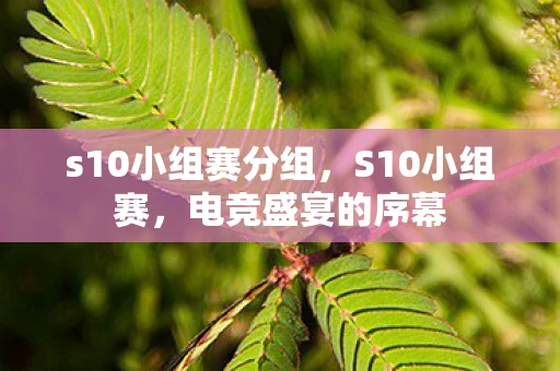 s10小组赛分组，S10小组赛，电竞盛宴的序幕