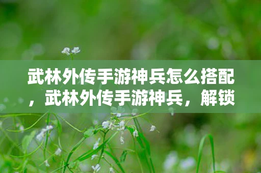 武林外传手游神兵怎么搭配，武林外传手游神兵，解锁你的江湖传奇
