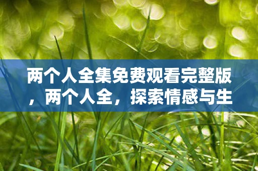 两个人全集免费观看完整版，两个人全，探索情感与生活的双重维度