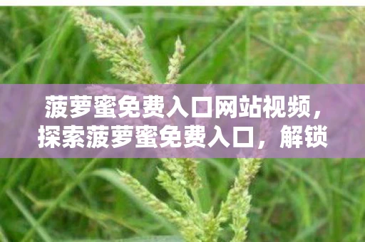菠萝蜜免费入口网站视频，探索菠萝蜜免费入口，解锁无限娱乐与创意的宝藏