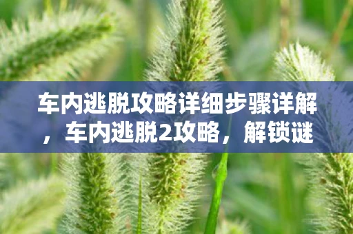 车内逃脱攻略详细步骤详解，车内逃脱2攻略，解锁谜题，逃出困境