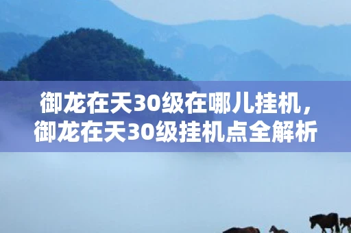 御龙在天30级在哪儿挂机，御龙在天30级挂机点全解析，轻松升级，事半功倍