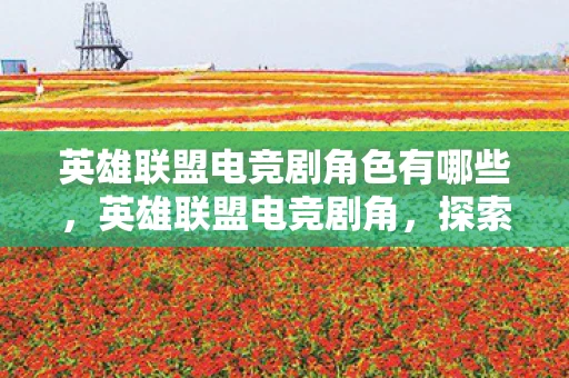 英雄联盟电竞剧角色有哪些，英雄联盟电竞剧角，探索电竞剧的魅力与未来