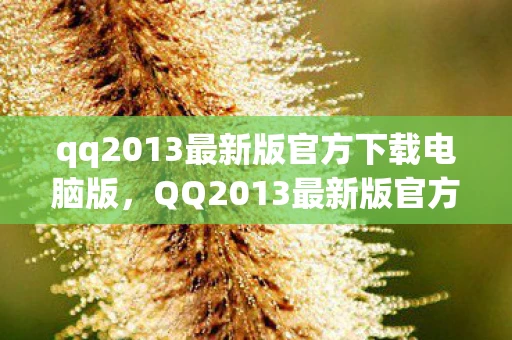 qq2013最新版官方下载电脑版,QQ2013最新版官方下载,经典再现,回忆杀来袭! qq2013最新版官方下载电脑版,QQ2013最新版官方下载,经典再现,回忆杀来袭!