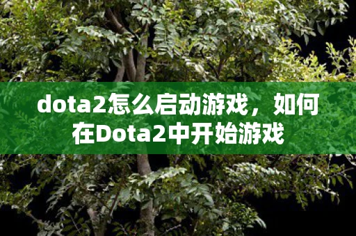 dota2怎么启动游戏，如何在Dota2中开始游戏