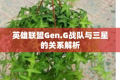 G战队与三星的关系解析图片