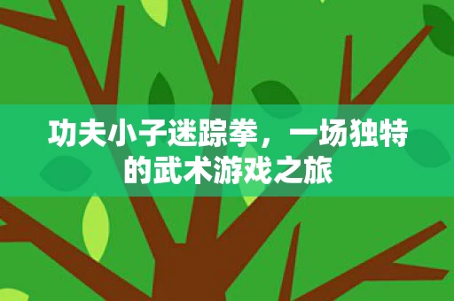 一场独特的武术游戏之旅图片