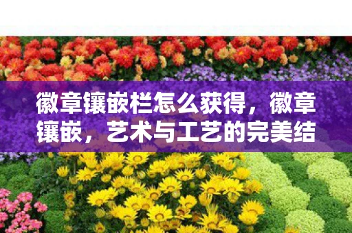 徽章镶嵌栏怎么获得,徽章镶嵌,艺术与工艺的完美结合 徽章镶嵌栏怎么获得,徽章镶嵌,艺术与工艺的完美结合