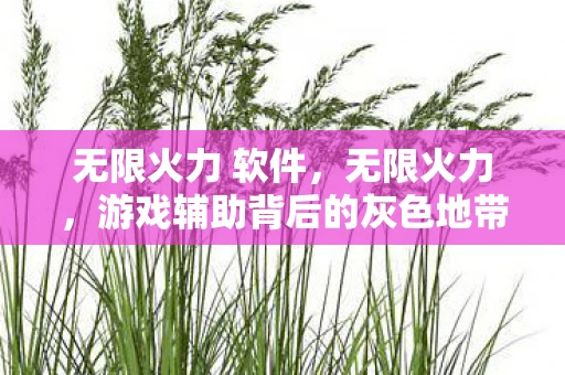 无限火力 软件，无限火力，游戏辅助背后的灰色地带