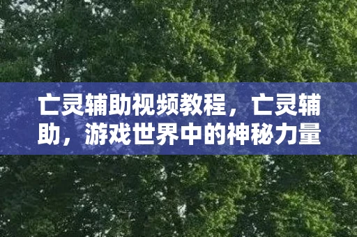 亡灵辅助视频教程，亡灵辅助，游戏世界中的神秘力量