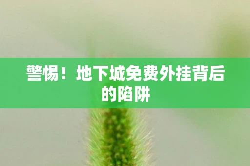 警惕！地下城免费外挂背后的陷阱