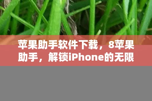 苹果助手软件下载，8苹果助手，解锁iPhone的无限可能