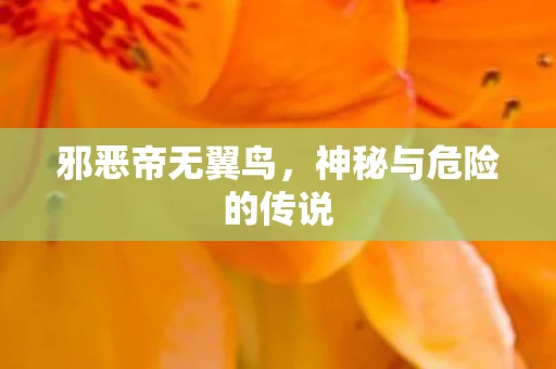 邪恶帝无翼鸟，神秘与危险的传说