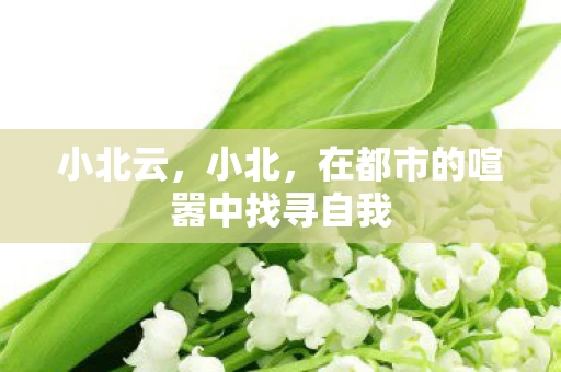 小北云，小北，在都市的喧嚣中找寻自我