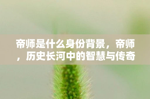 帝师是什么身份背景，帝师，历史长河中的智慧与传奇