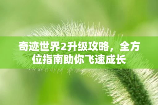 全方位指南助你飞速成长图片