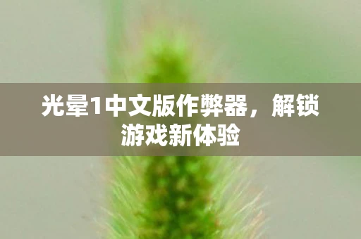 光晕1中文版作弊器，解锁游戏新体验