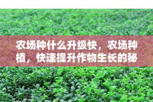 农场种什么升级快，农场种植，快速提升作物生长的秘诀