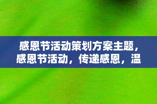 感恩节活动策划方案主题，感恩节活动，传递感恩，温暖人心