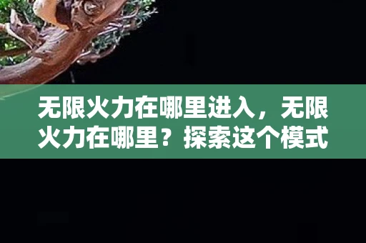 无限火力在哪里进入，无限火力在哪里？探索这个模式的神秘之地