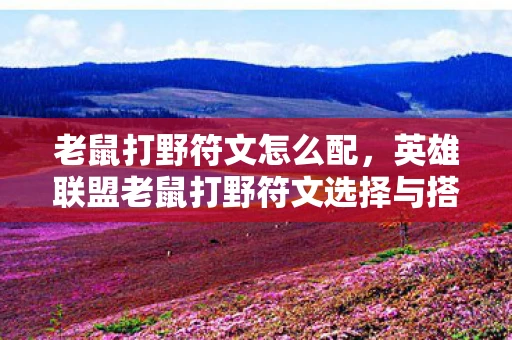 老鼠打野符文怎么配，英雄联盟老鼠打野符文选择与搭配指南