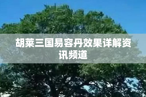 胡莱三国易容丹效果详解资讯频道图片