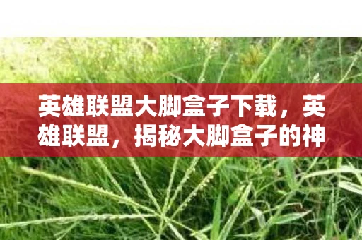 英雄联盟大脚盒子下载，英雄联盟，揭秘大脚盒子的神秘面纱