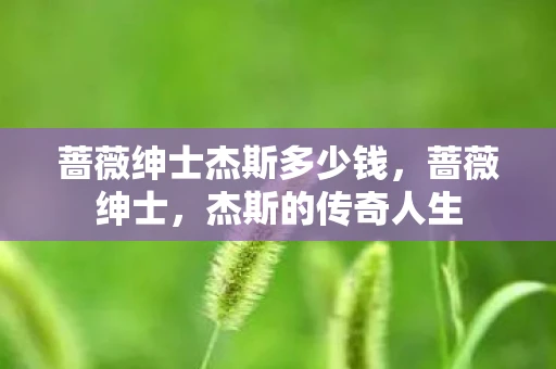 蔷薇绅士杰斯多少钱，蔷薇绅士，杰斯的传奇人生