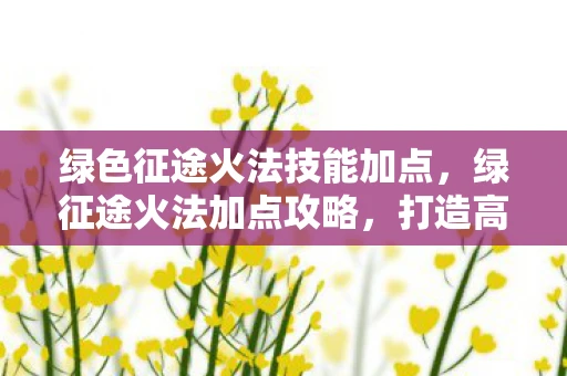 绿色征途火法技能加点，绿征途火法加点攻略，打造高效火法师的秘诀