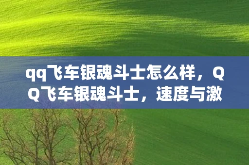 qq飞车银魂斗士怎么样，QQ飞车银魂斗士，速度与激情的终极对决