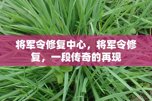 将军令修复中心，将军令修复，一段传奇的再现
