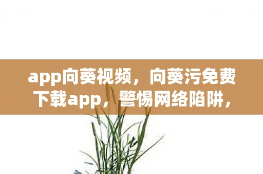app向葵视频，向葵污免费下载app，警惕网络陷阱，保护个人隐私