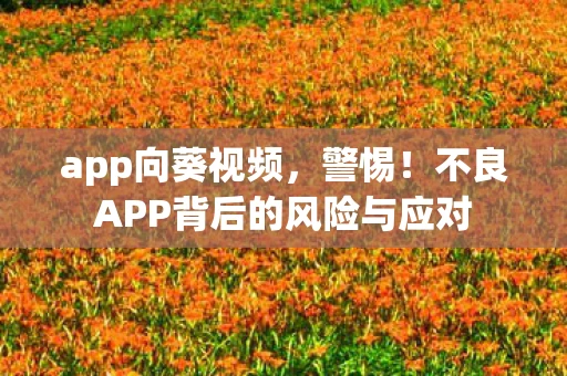 app向葵视频，警惕！不良APP背后的风险与应对