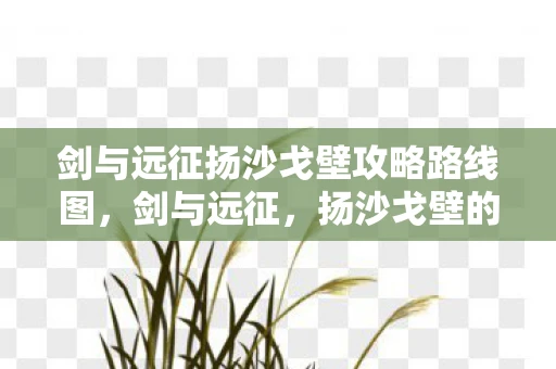 剑与远征扬沙戈壁攻略路线图，剑与远征，扬沙戈壁的秘密探险