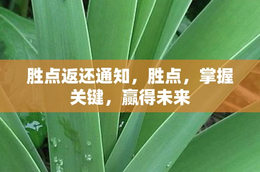 胜点返还通知，胜点，掌握关键，赢得未来