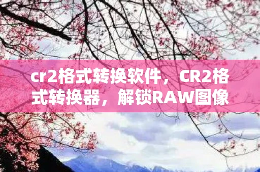 cr2格式转换软件，CR2格式转换器，解锁RAW图像潜力的关键工具