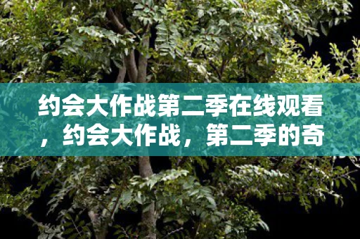 约会大作战第二季在线观看，约会大作战，第二季的奇幻之旅