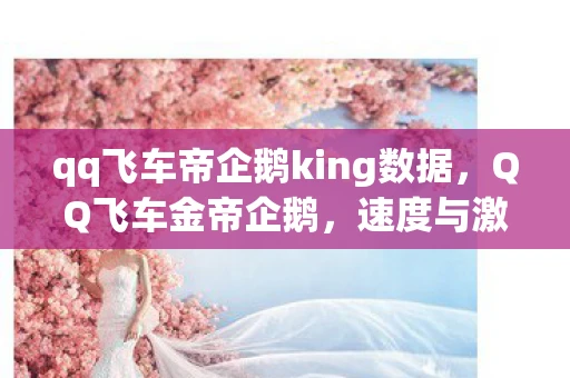 qq飞车帝企鹅king数据，QQ飞车金帝企鹅，速度与激情的虚拟之旅