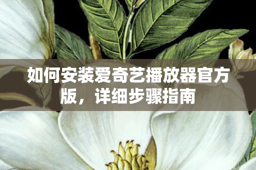 如何安装爱奇艺播放器官方版图片