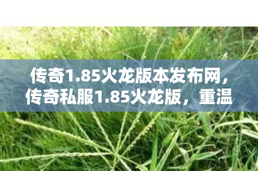 传奇1.85火龙版本发布网，传奇私服1.85火龙版，重温经典，再燃激情